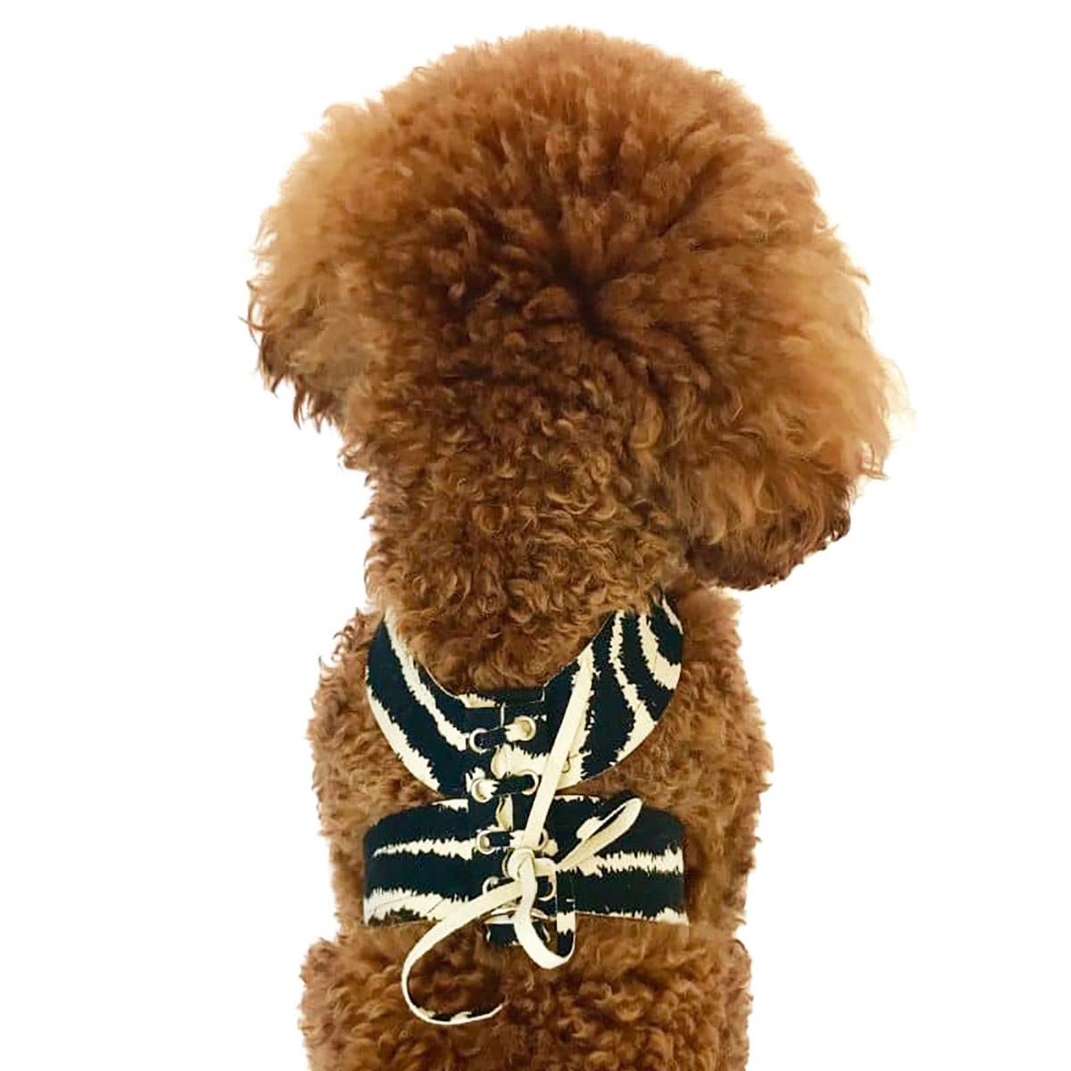 The Dog Squad Parisian Corset Dog Harness, Zebra