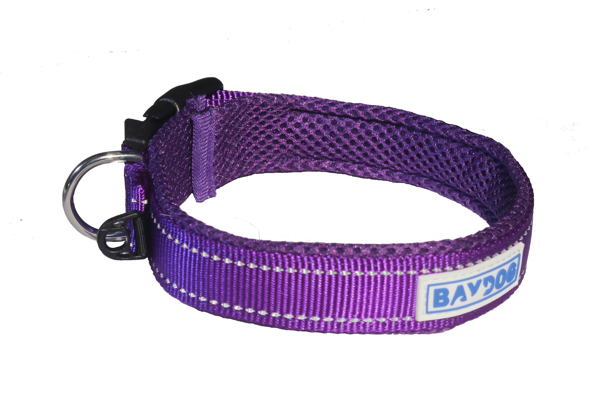 BayDog Tampa Bay Dog Collar, Purple, Large