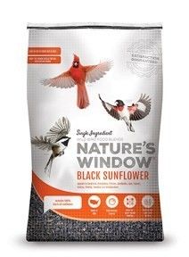 Nature's Window Black Sunflower
