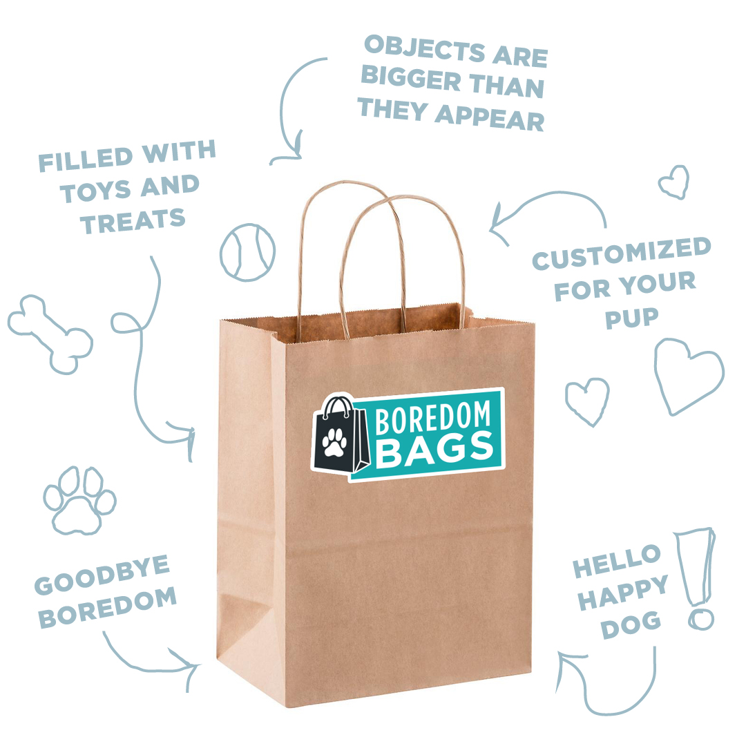 NorthPoint Pets & Co Dog Boredom Bag, Large