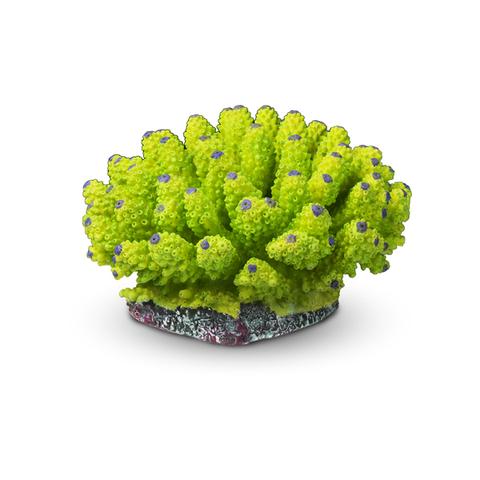 Aquatop Coral, Artificial Aquarium Décor, Green/Purple Tips