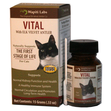 Wapiti Labs Vital Formula Cat Supplement, 0.53-oz bottle