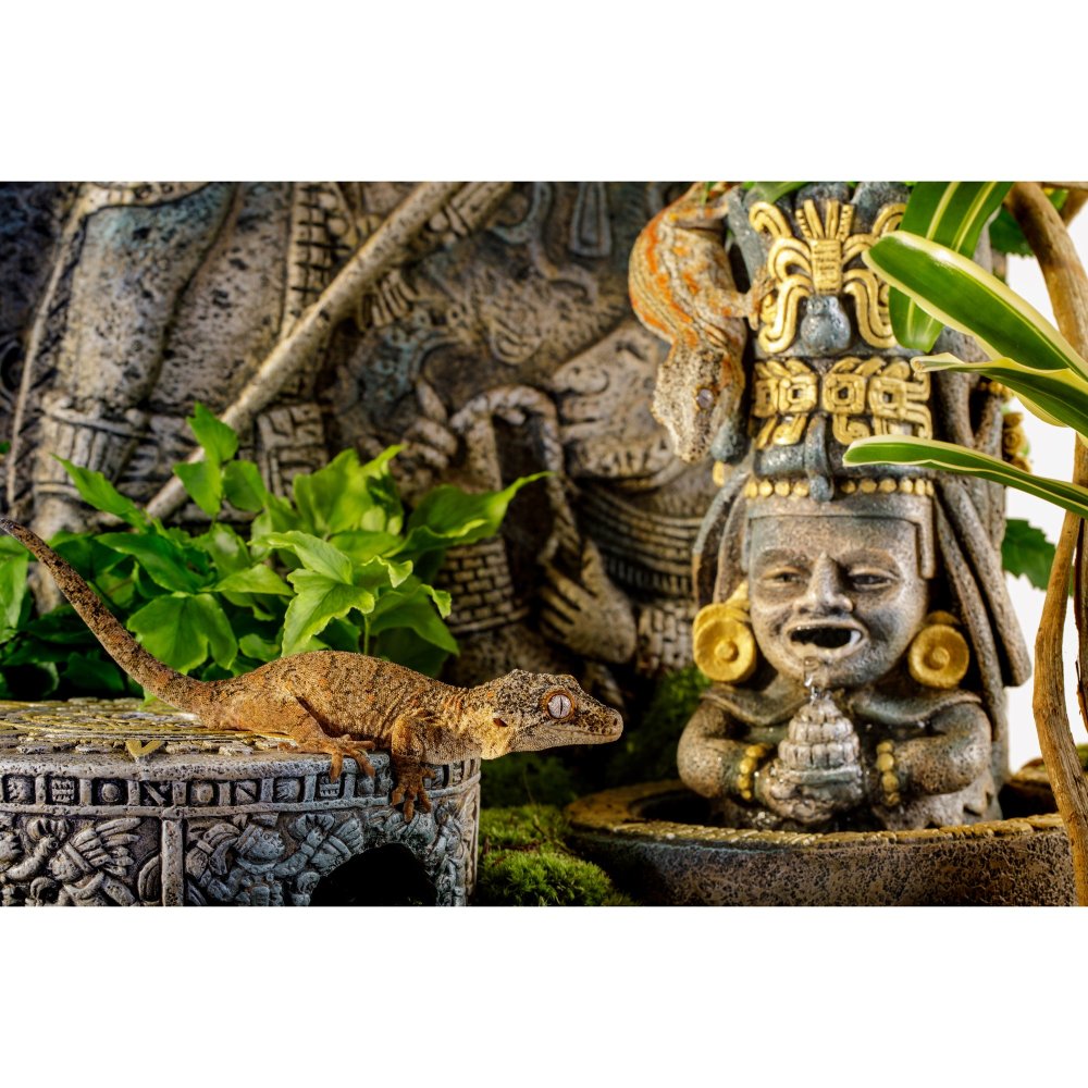 Exo Terra Aztec Calendar Stone Reptile Hideout, Medium | Petland Montgomery