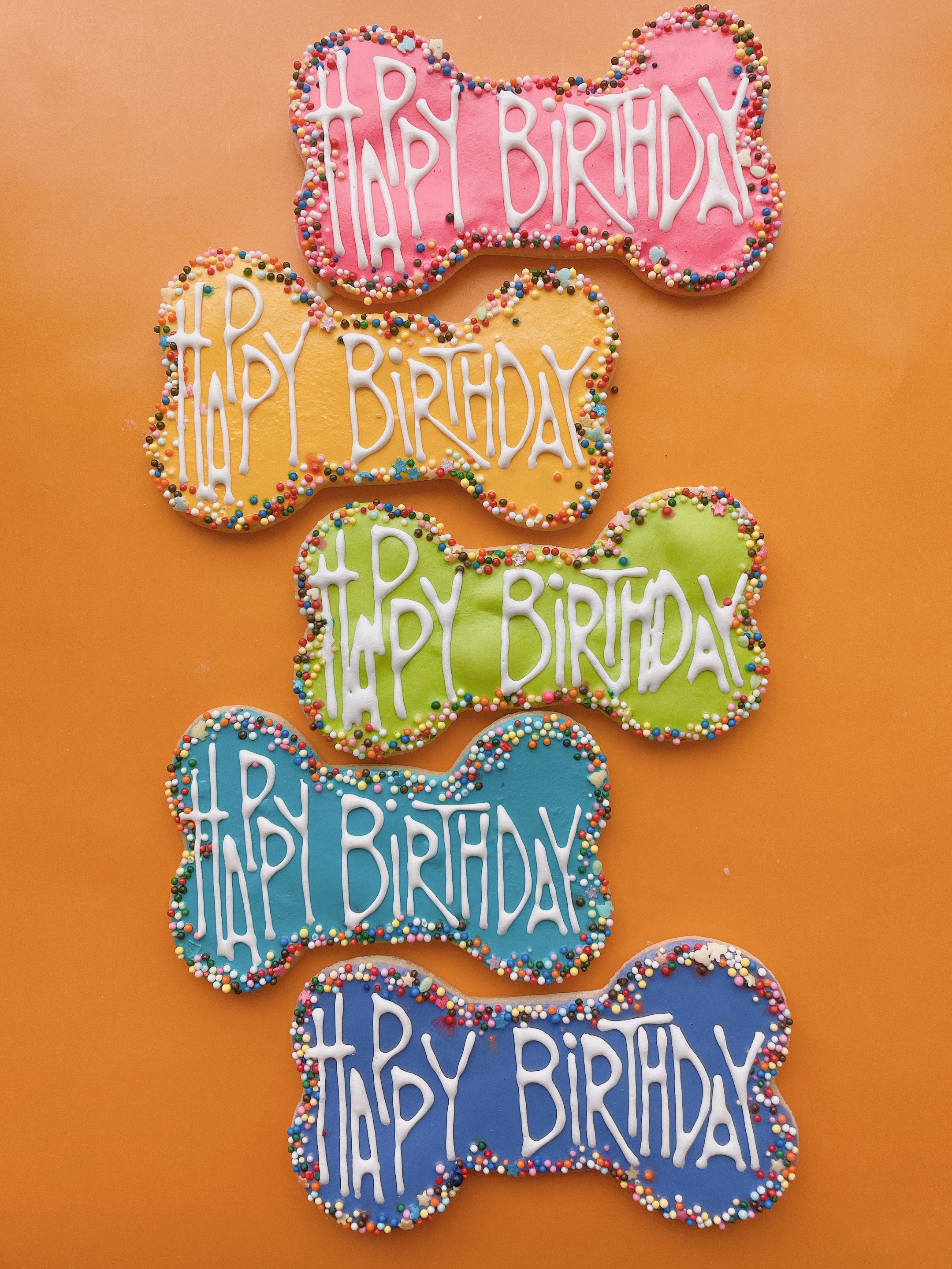 Fetch & Friskers Fetch's Favorites Birthday Bone Dog Treats