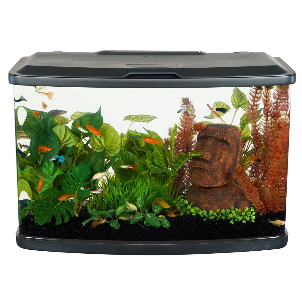 Fluval Vista Aquarium Kit, 16-gal (Size: 16-gal)