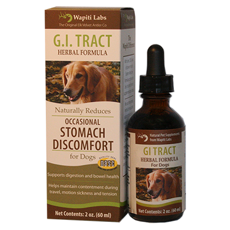 Wapiti Labs G.I. Tract Formula for Stomach Discomfort Dog Supplement, 2-oz bottle