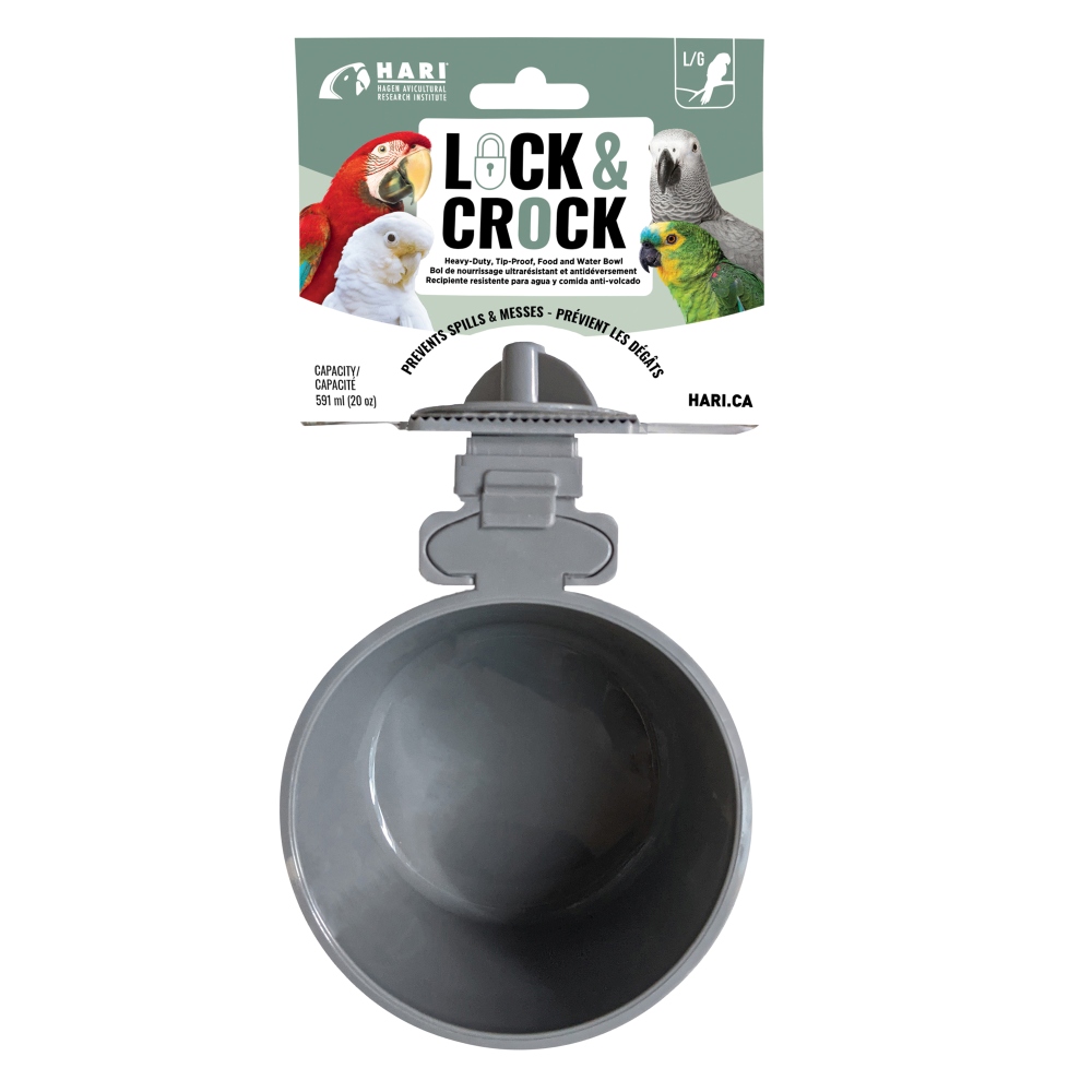 HARI Lock & Crock Food and Water Bowl, Grey, 20-oz (Size: 20-oz)