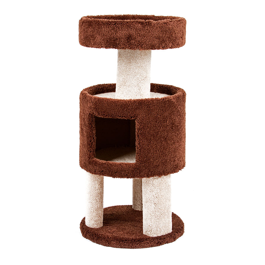 Classy Kitty Condo with Penthouse