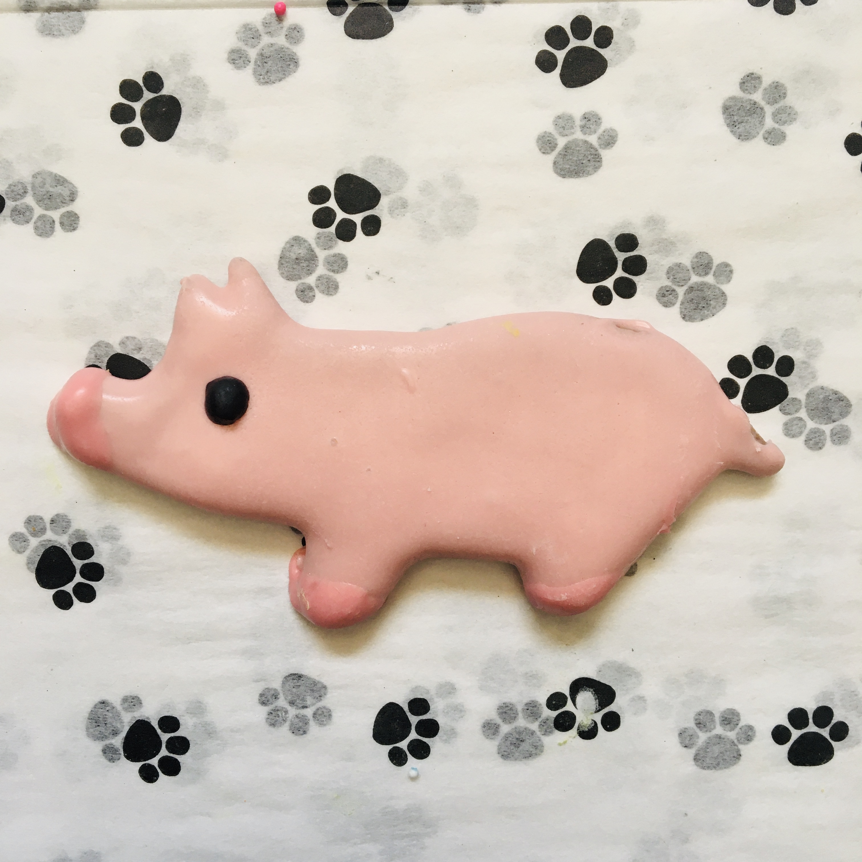 Lucky Dog Outfitters Bakery Piggie Dog Treats
