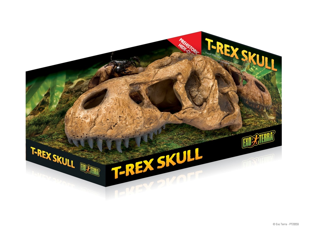 Exo Terra T-Rex Skull Terrarium Decoration, Large