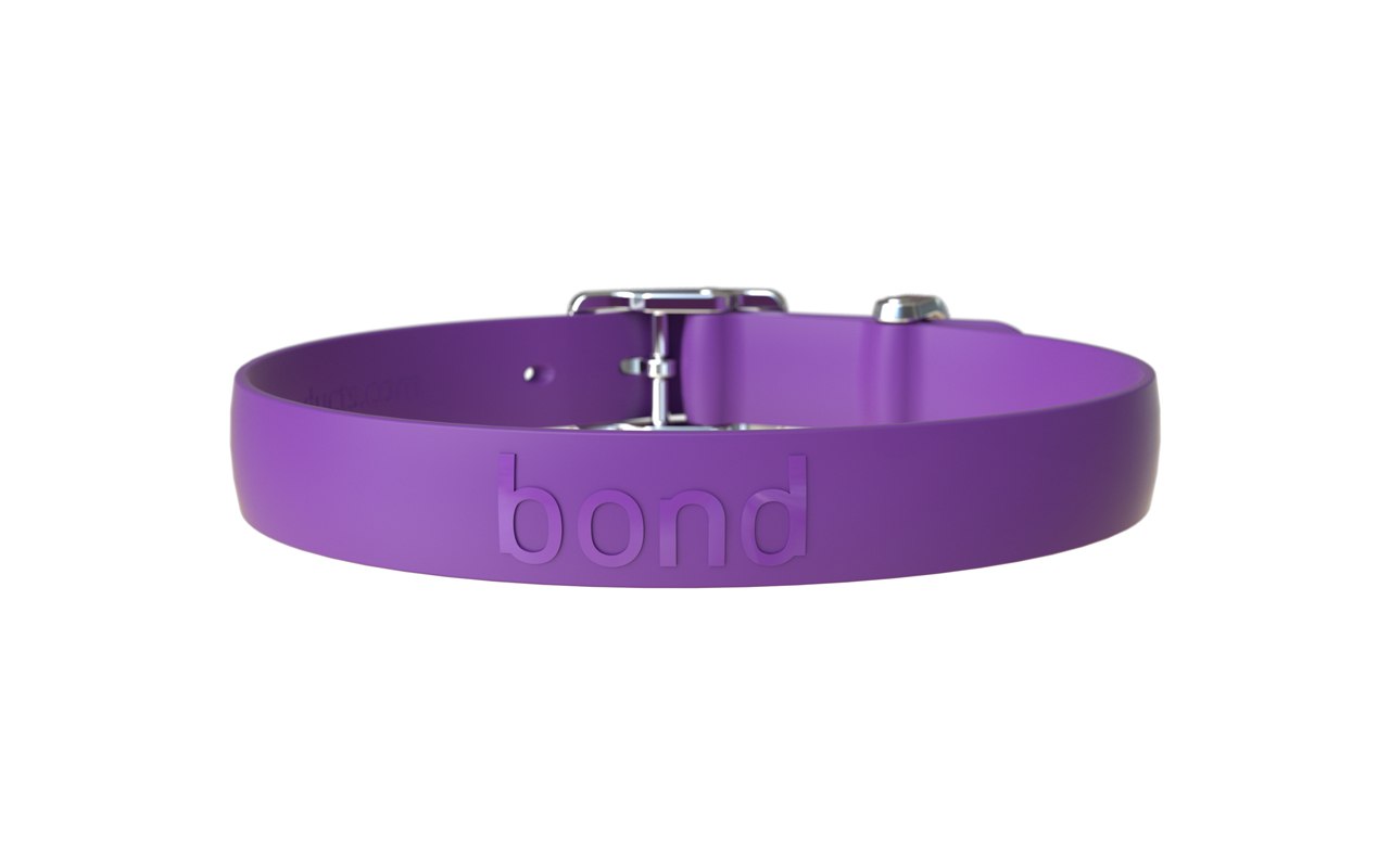 Original Bond Dog Collar, Grape, Medium