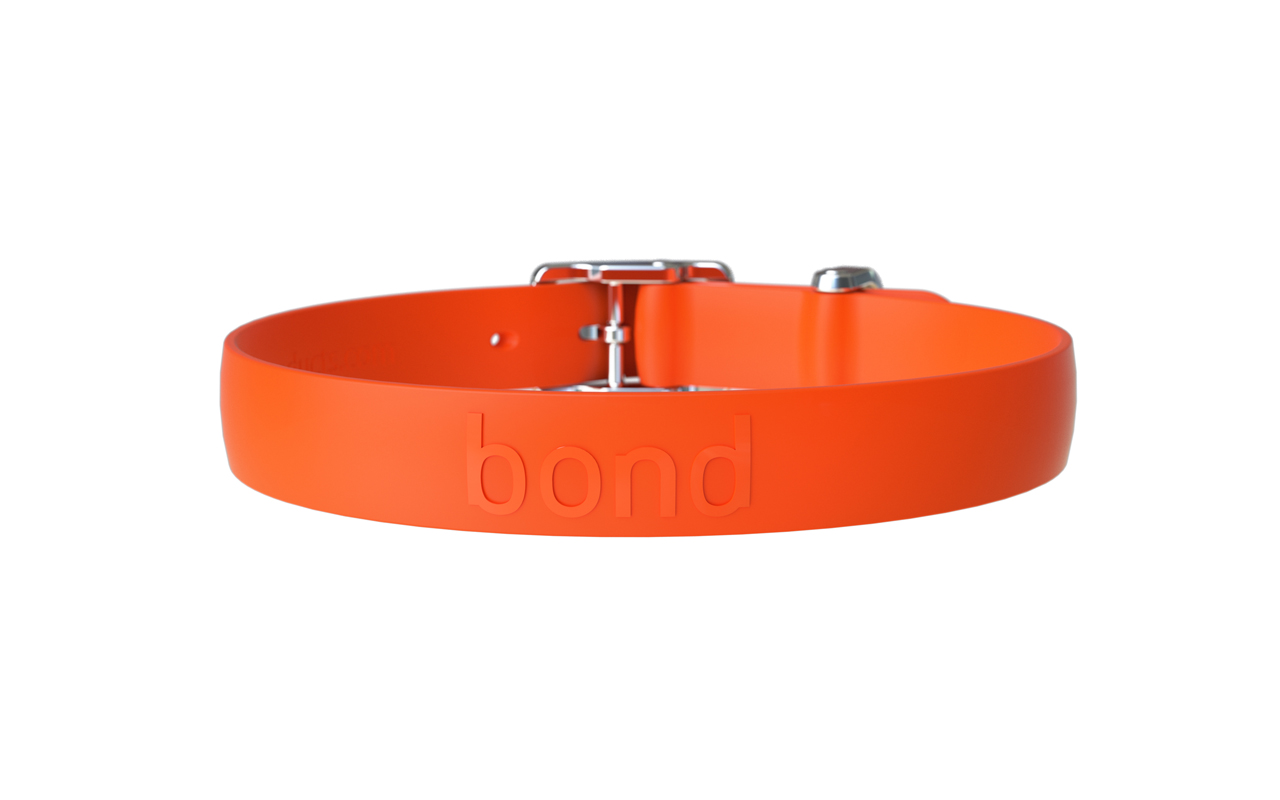 Original Bond Dog Collar, Tangerine, Small