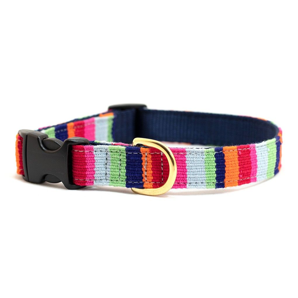Auburn Leathercrafts Sun Valley At the Beach Maui Dog Collar, Medium, 14-20-in
