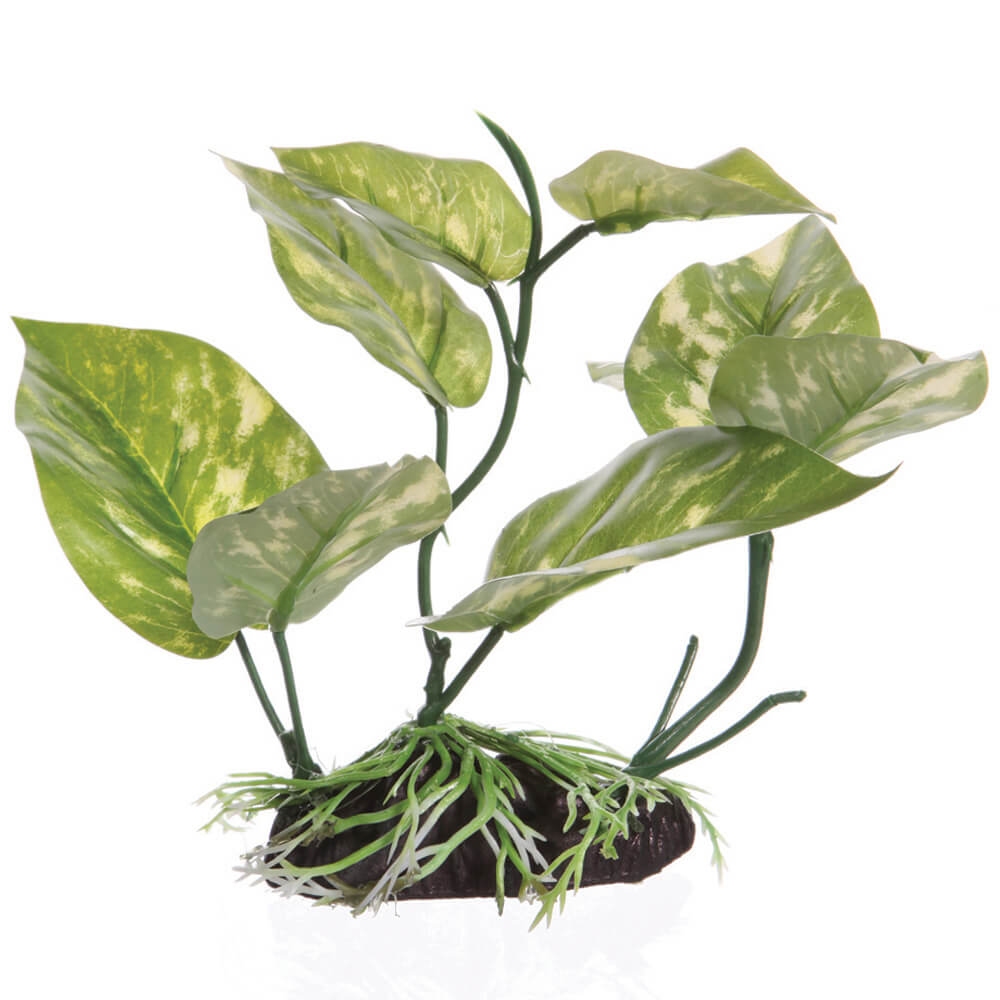 Fluval Aquascape Lizard's Tail Plant, 6.75-in