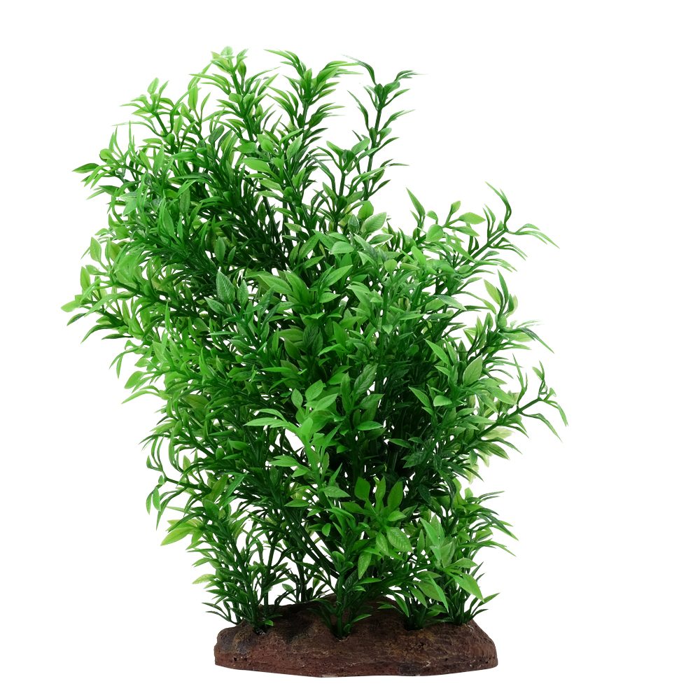 Fluval Aqualife Small Helzine Plant, 8-in (Size: 8-in)