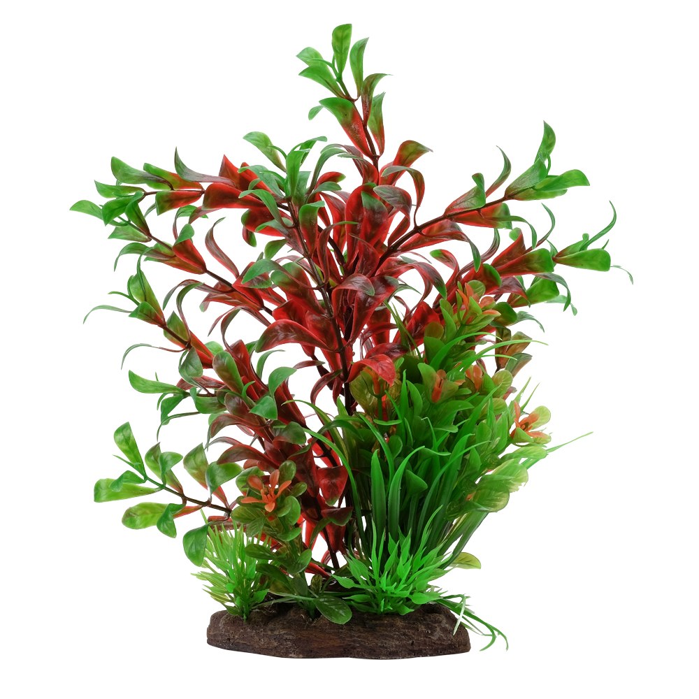 Fluval Aqualife Red Ludwigia/Dwarf Sagittarius Plant, 8-in (Size: 8-in)