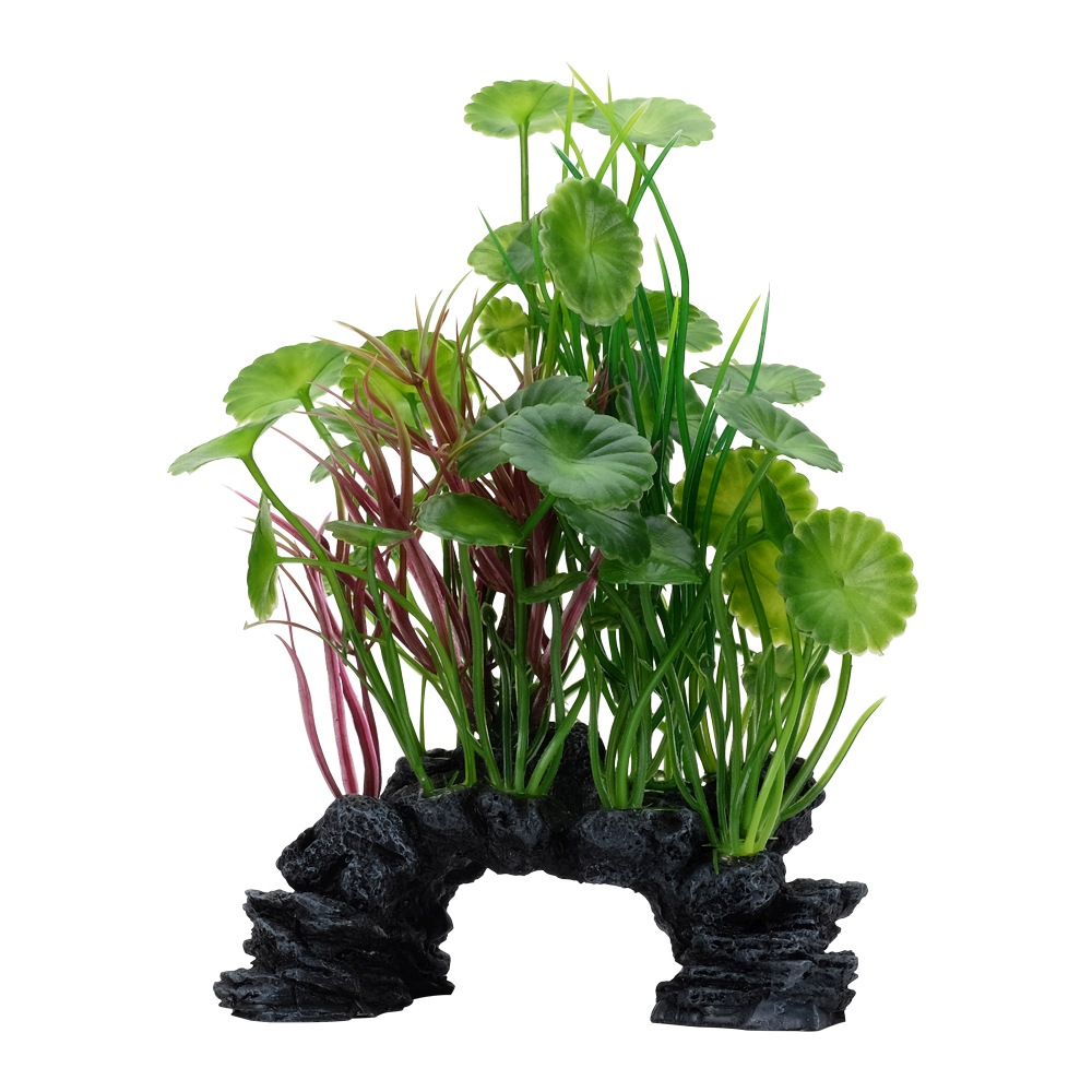 Fluval Aqualife Green Lysimachia, 8-in