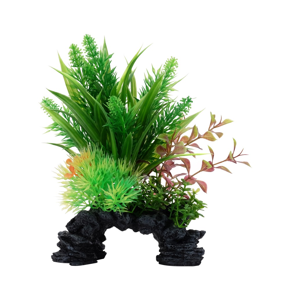Fluval Aqualife Ludwigia/Sagittarius, 8-in