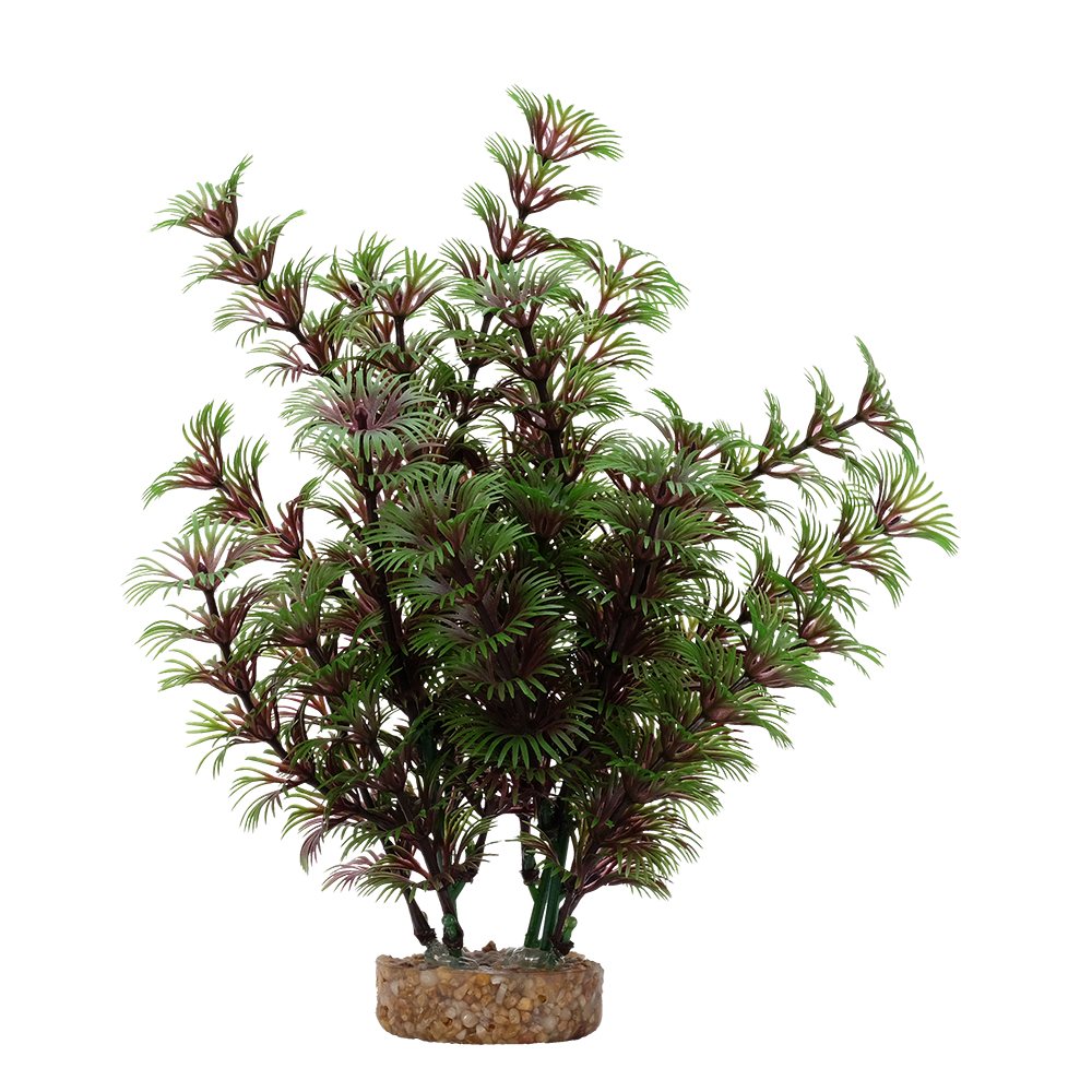 Fluval Aqualife Red Green Cabomba, 8-in (Size: 8-in)