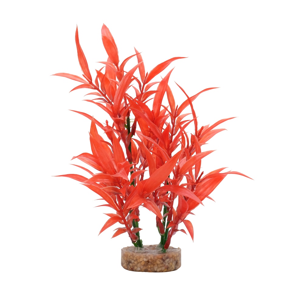 Fluval Aqualife Intense Red Hygrophila, 8-in (Size: 8-in)