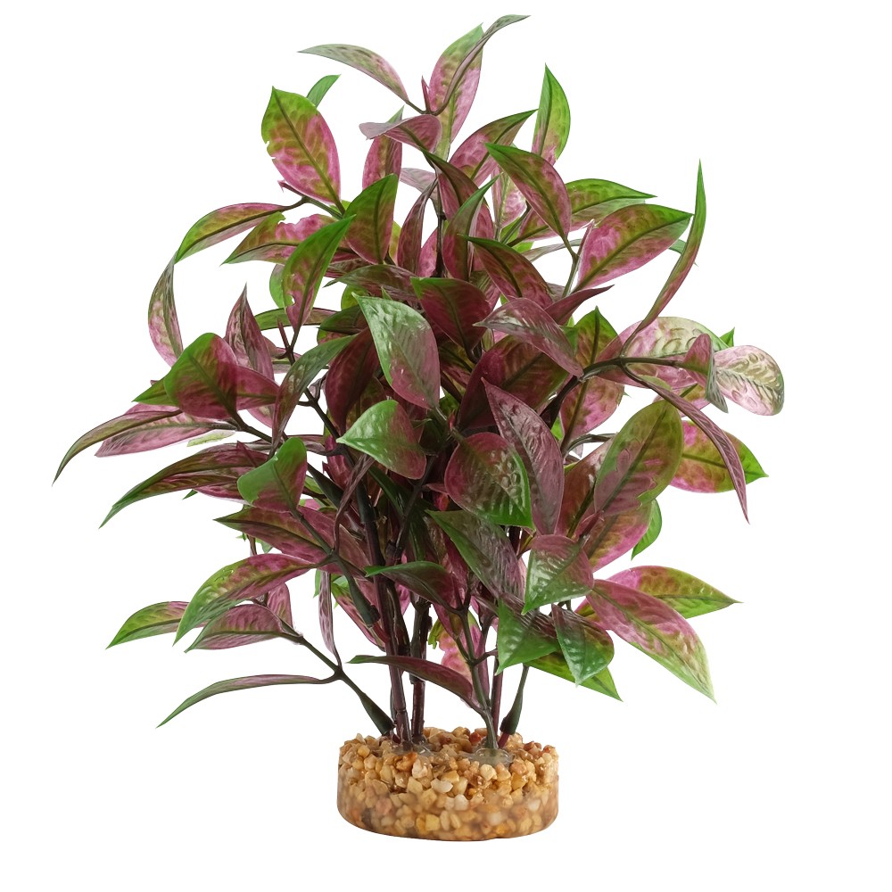 Fluval Aqualife Broad Leaf Red Ludwigia, 8-in