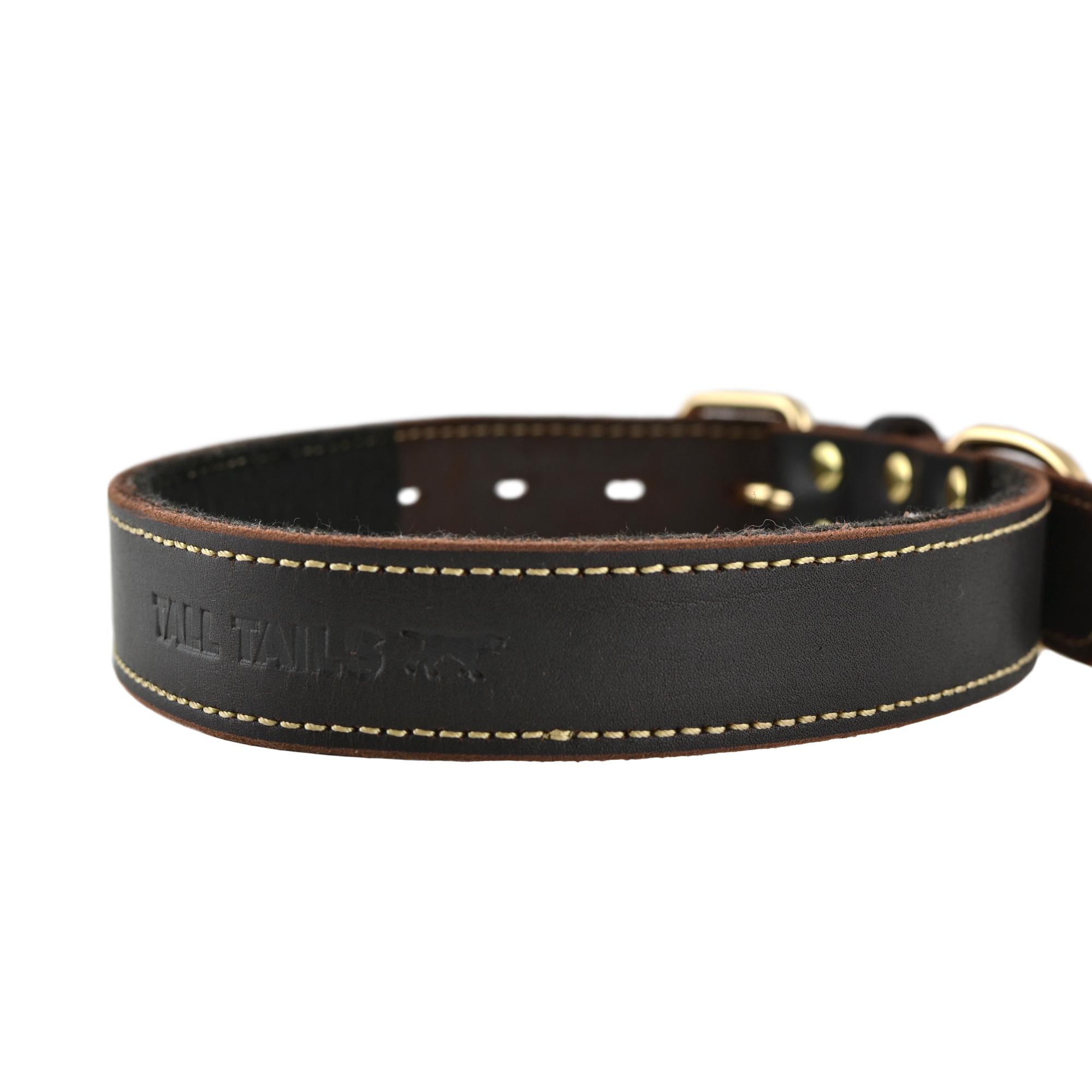Tall Tails Genuine Leather Dog Collar, Medium