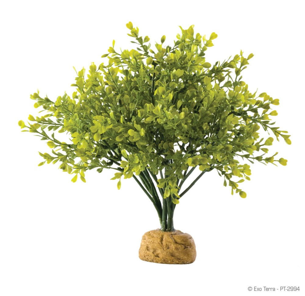 Exo Terra Turtle Grass Plant