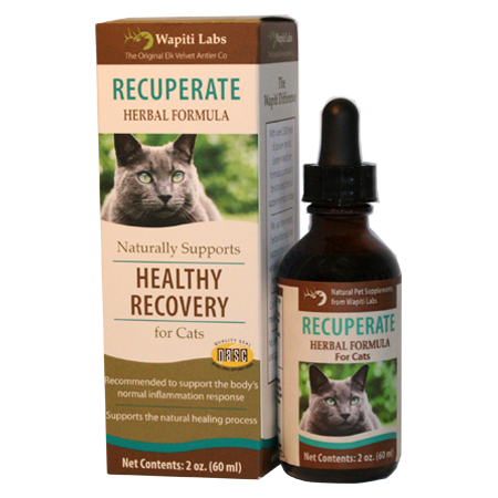 Wapiti Labs Recuperate Formula for Healthy Recovery Cat Supplement, 2-oz bottle