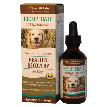 Wapiti Labs Recuperate Formula for Healthy Recovery Dog Supplement, 2-oz bottle