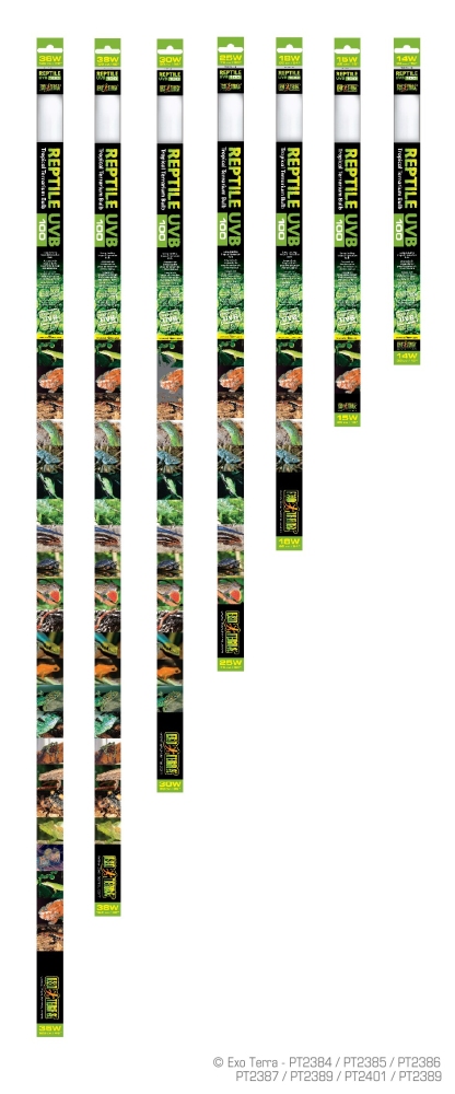Exo Terra Reptile UVB 100 Tropical Terrarium Bulb, 18-w, 24-in