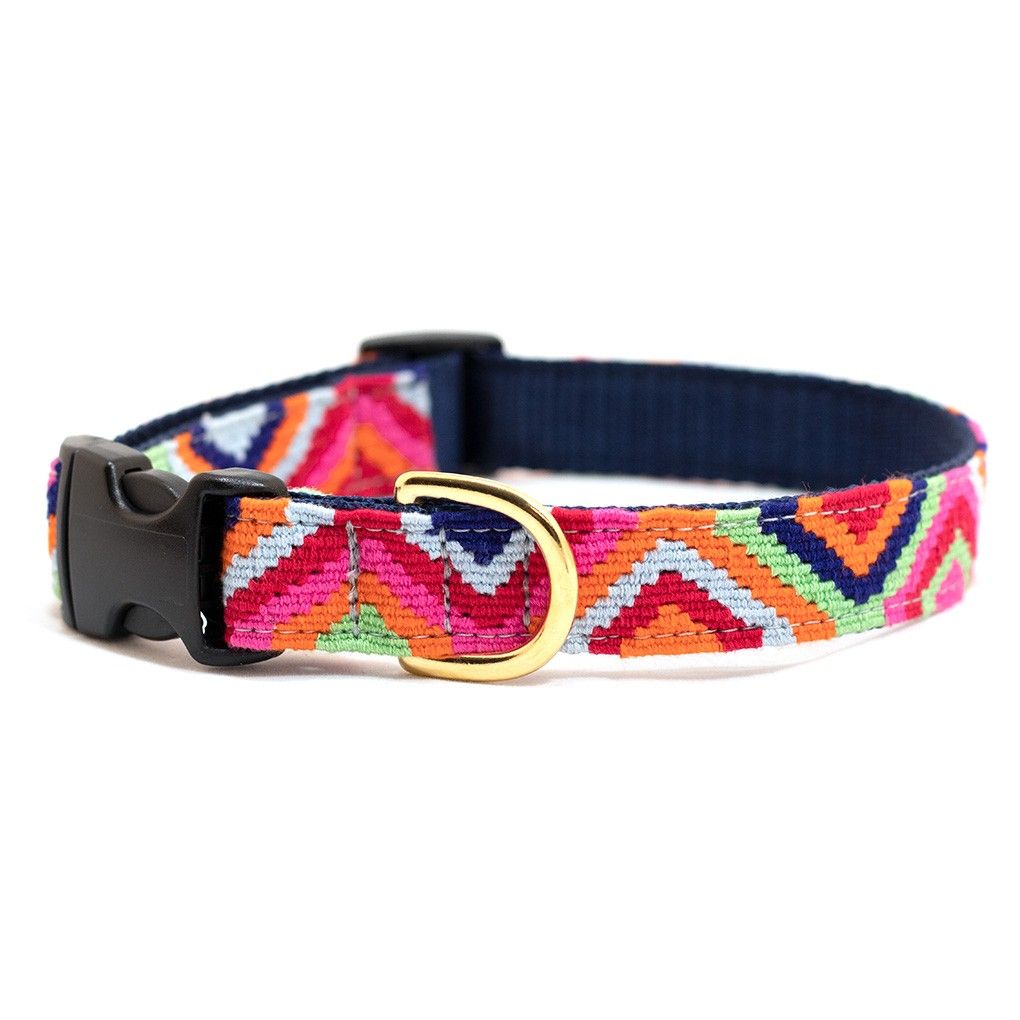 Auburn Leathercrafts Sun Valley Retro Dog Collar, Small, 11-15-in