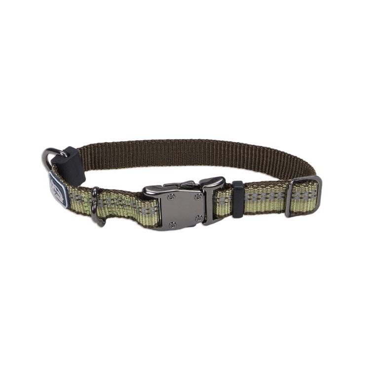 K9 Explorer Reflective Adjustable Dog Collar, Fern