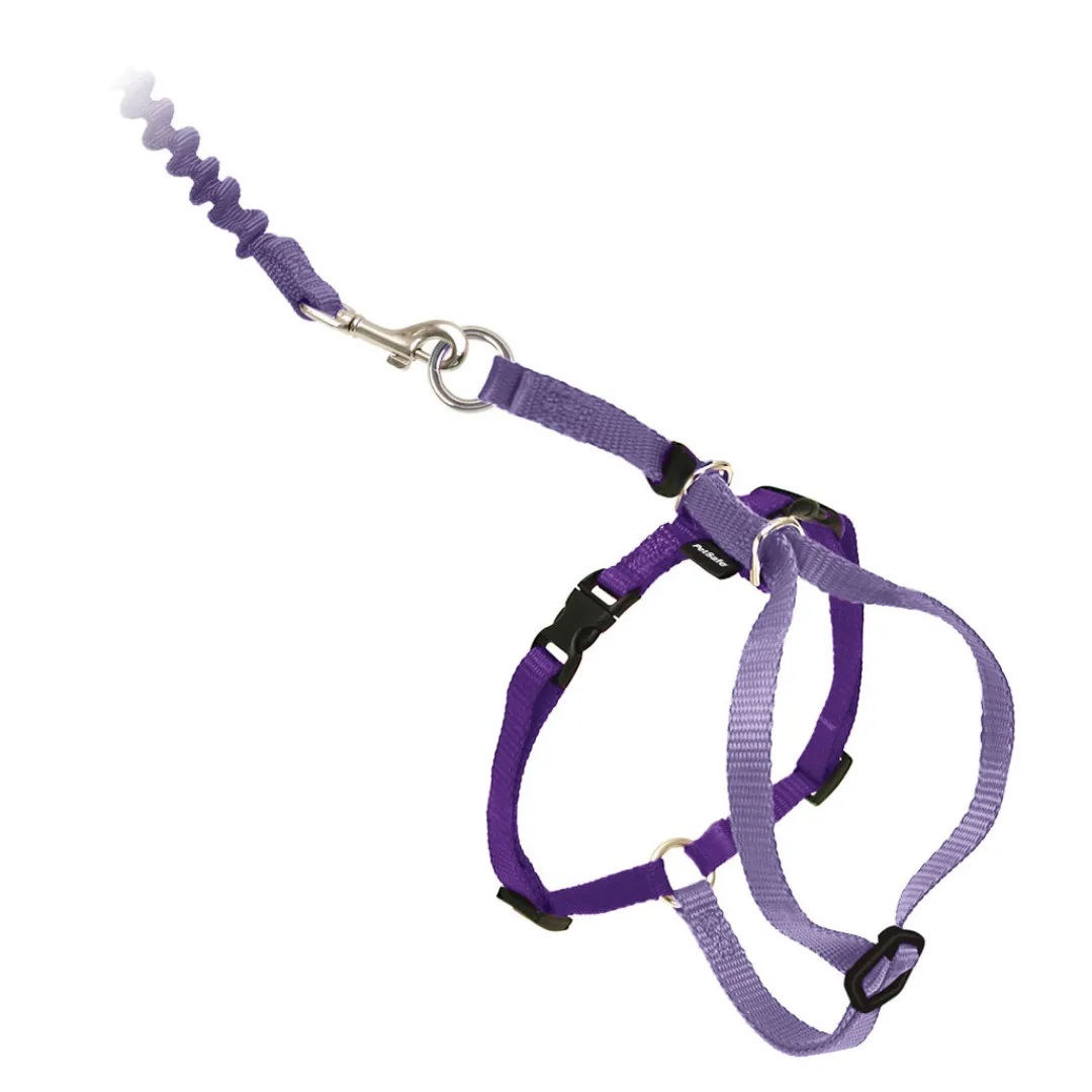 PetSafe Come With Me Kitty Harness Bungee Cat Leash Lilac Deep Purple Medium Nature s Pet NW Portland