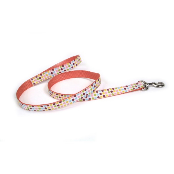 Ribbon Dog Leash, Dots, 1-in x 4-ft
