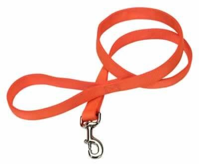 Coastal Double-Ply Dog Leash, Sunset Orange, 1-in x 6-ft
