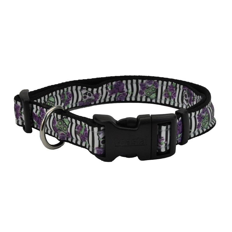 Celebration Halloween Dog Collar, Style #4