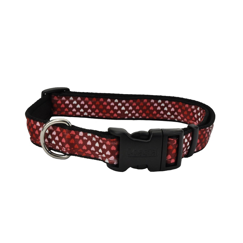 Celebration Valentine's Day Dog Collar, Style #1, 1-in X 18-in-26-in