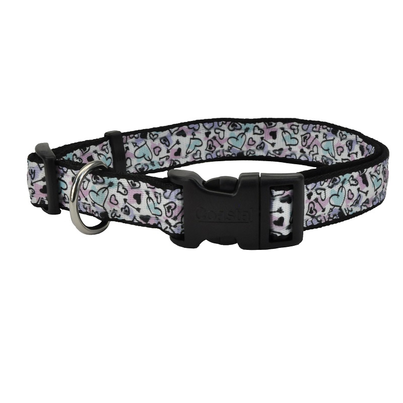 Celebration Valentine's Day Dog Collar, Style #2, 1-in X 18-in-26-in