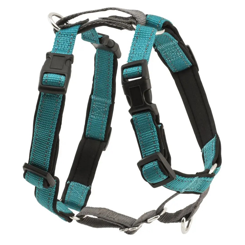 PetSafe 3 in 1 Dog Harness, Teal, Large