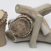 QT Dog Antlerz Natural Chews Dog Treats