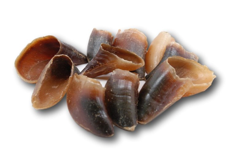 Healthy Dog Chews Bovine Hooves Dog Treats, 5-6-in