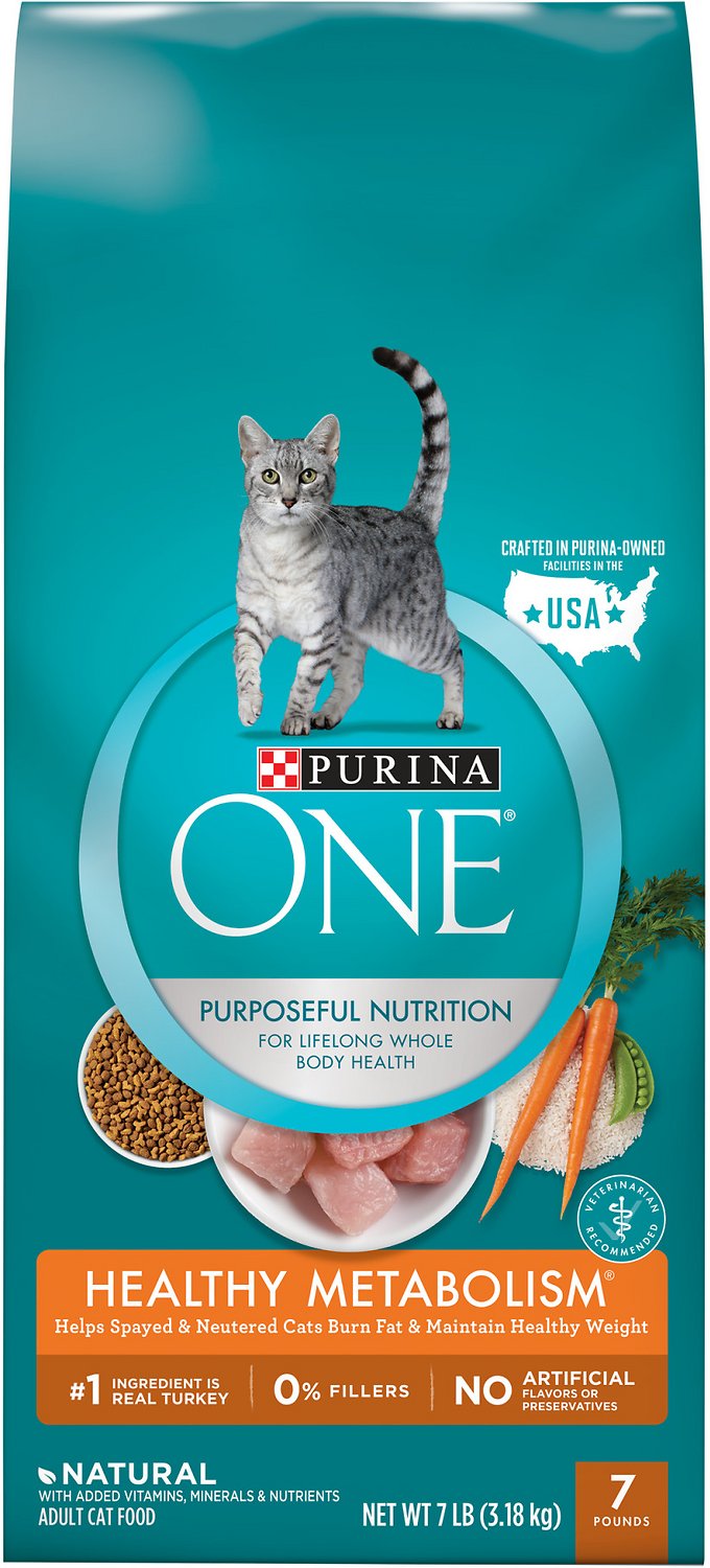 Purina ONE Healthy Metabolism Adult Premium Dry Cat Food