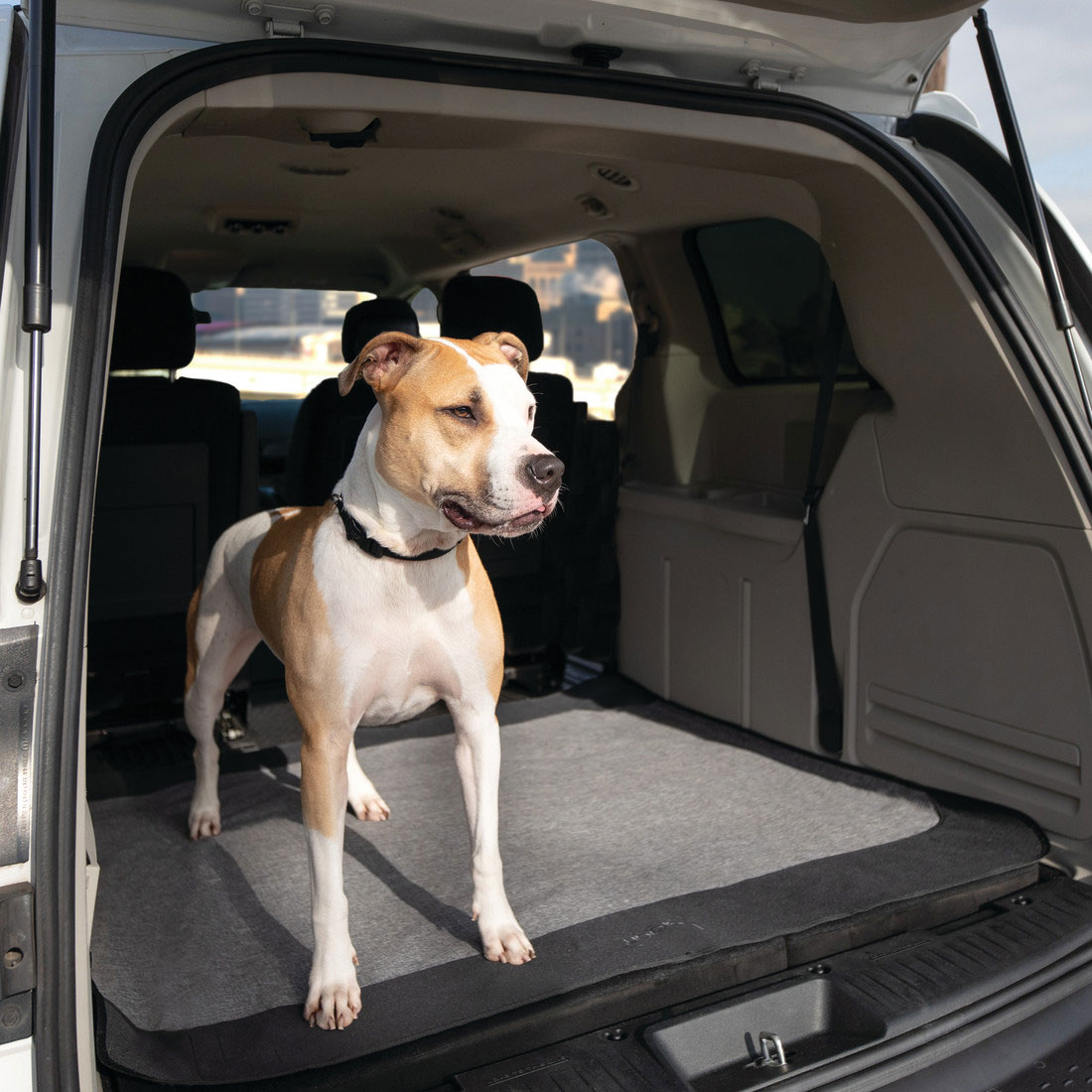 Bergan Auto Cargo Floor Cover, Grey/Black, 50-in x 50-in (Size: 50-in x 50-in)