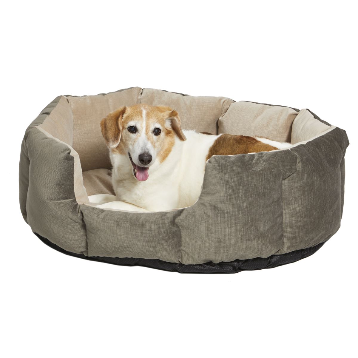 MidWest Quiet Time Deluxe Tulip Pet Bed, Evergreen