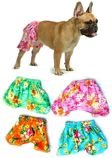 PAMPET / Puppe Love Dog Pants, Board Shorts Orange