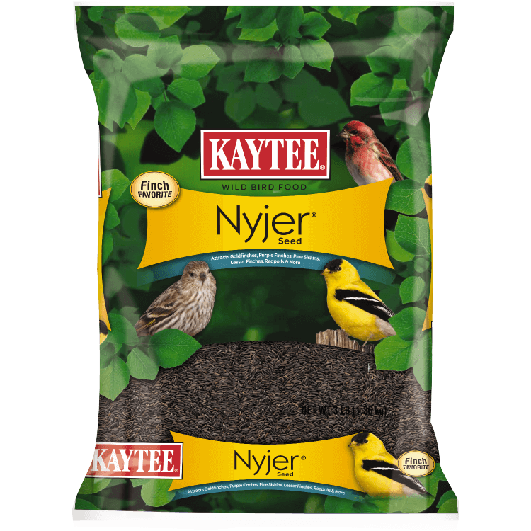 Kaytee Nyjer Seed Wild Bird Food, 3-lb