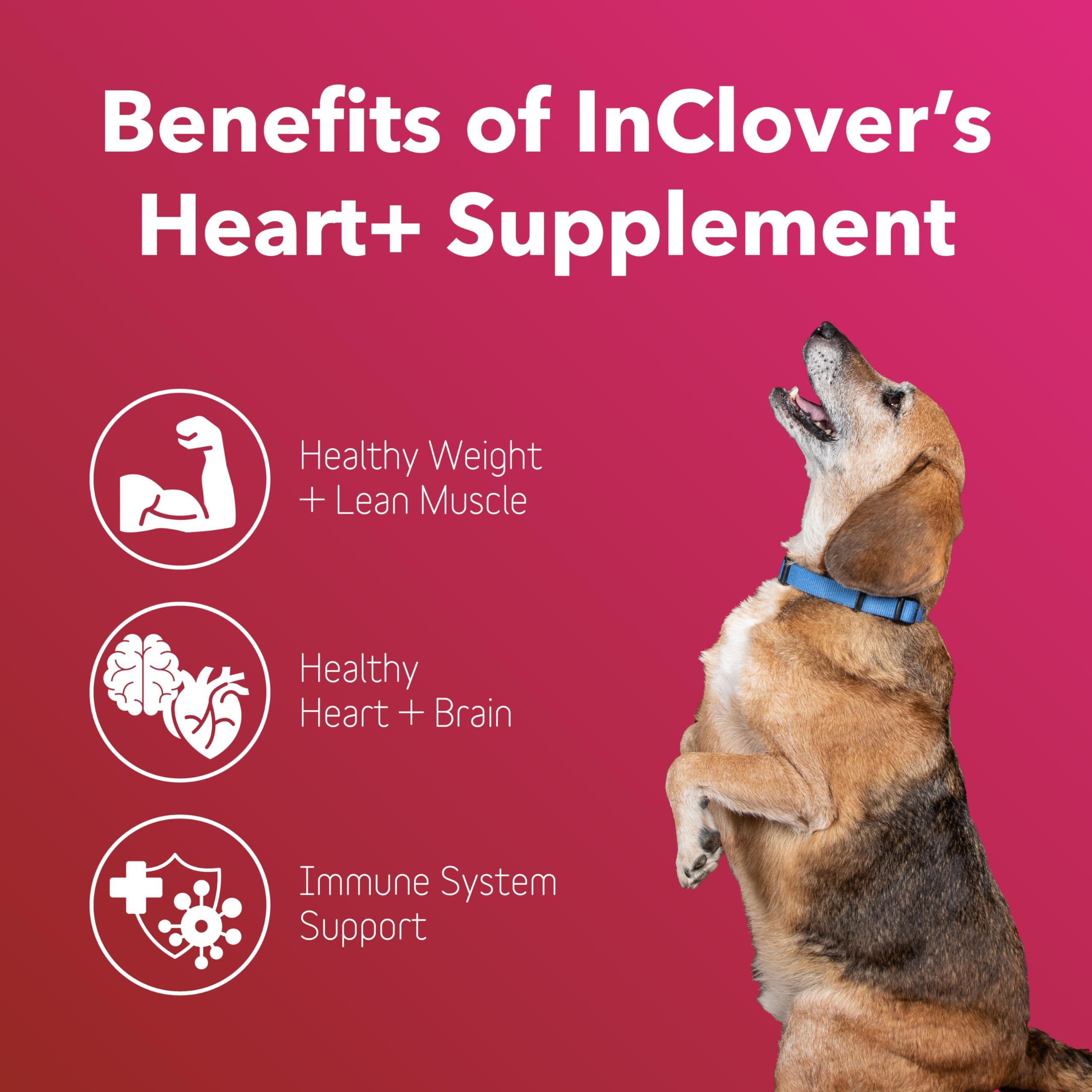 InClover Heart+ Powder Dog & Cat Supplement, 3.5-oz | Simply Diego's
