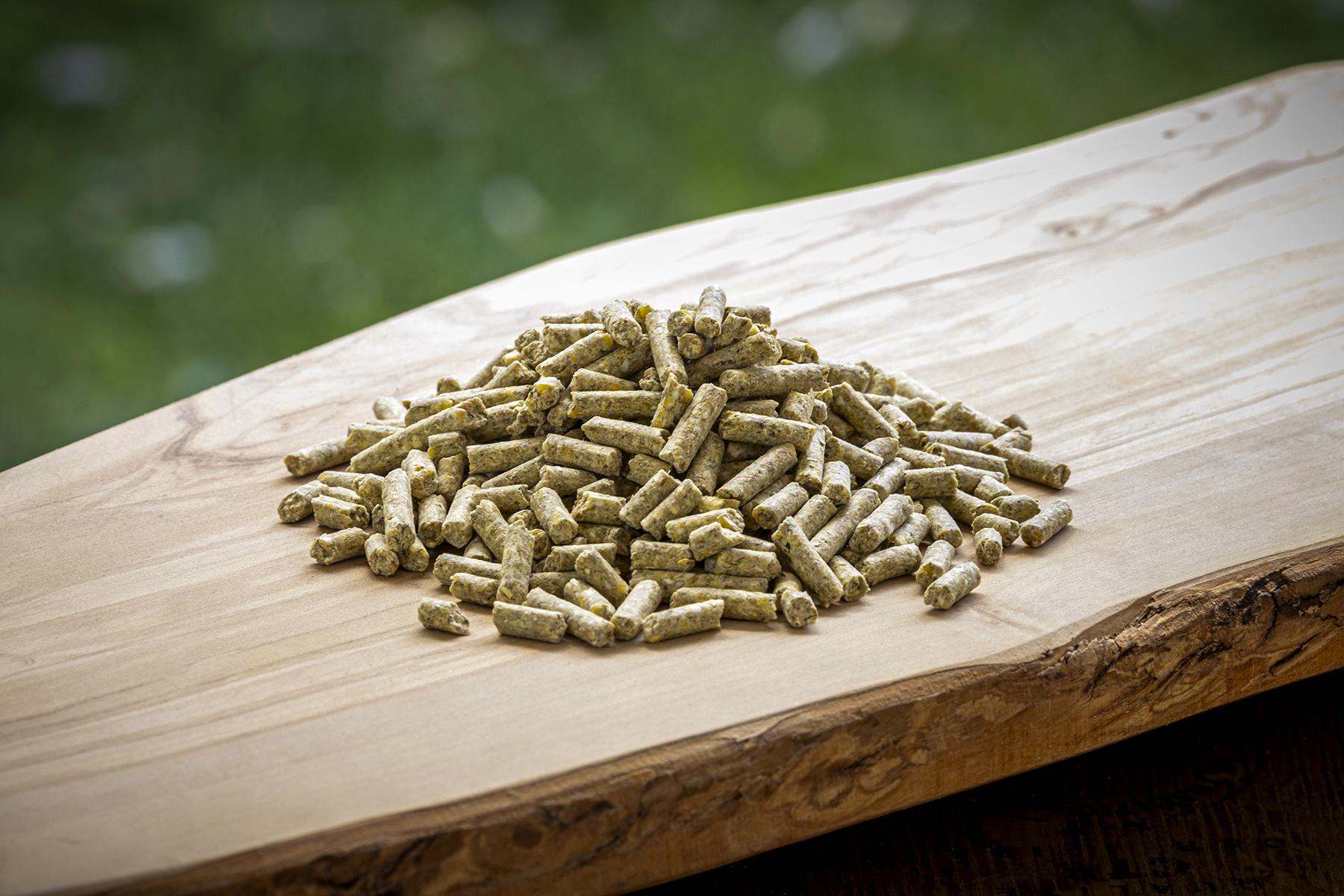Modesto Milling Organic Layer Pellets Chicken Feed, 25-lb