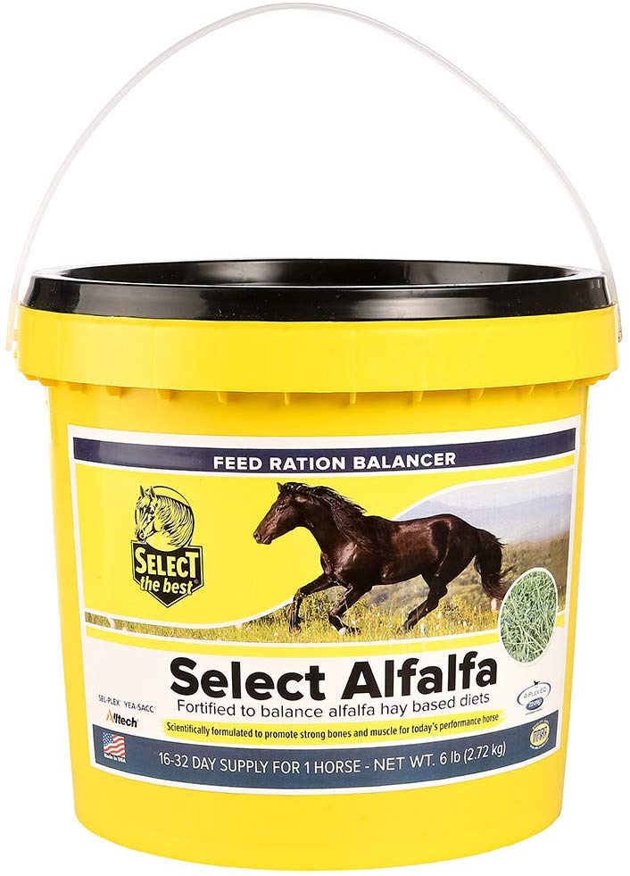 Select the Best Alfalfa Horse Feed