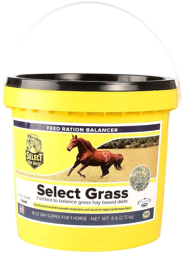 Select the Best Grass Horse Feed, 6-lb